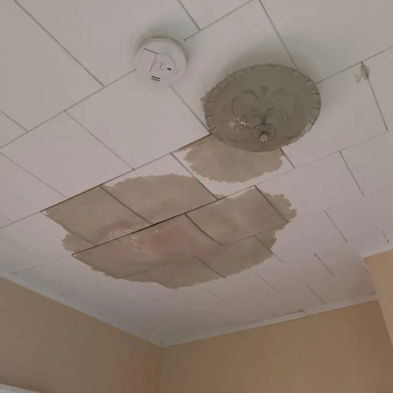 Ceiling Water Damage Repair in North English, IA