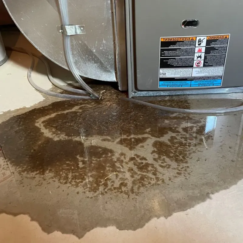 Pipe Burst and Leak Restoration in North English, IA