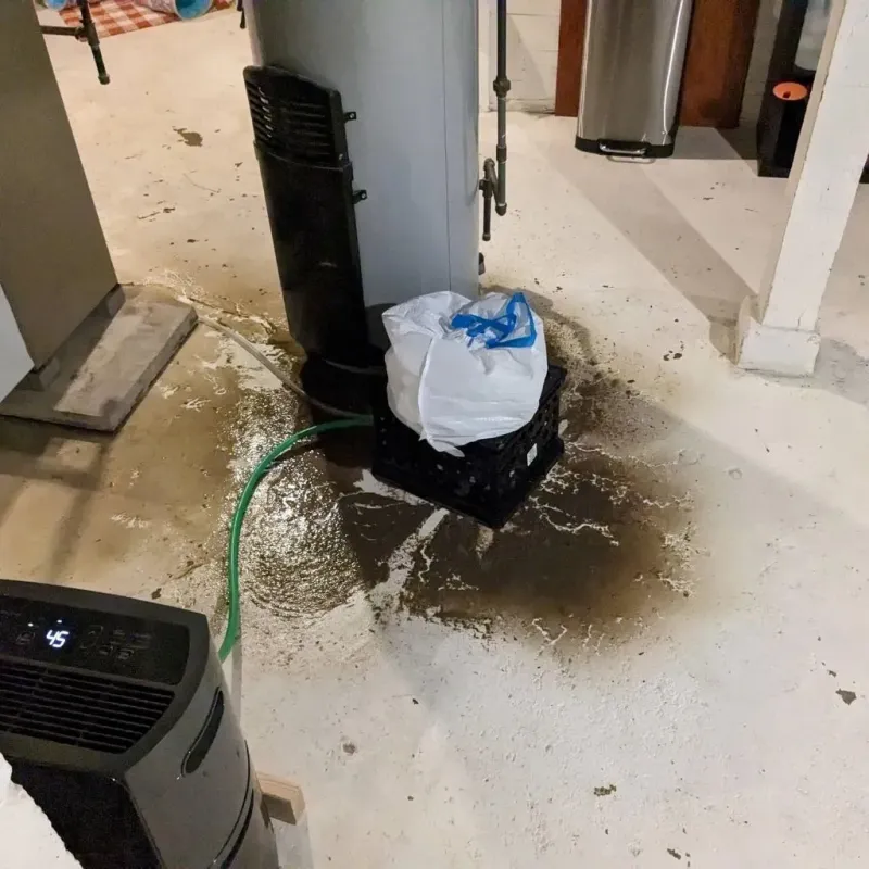 Sewage Backup Cleanup Service in North English, IA